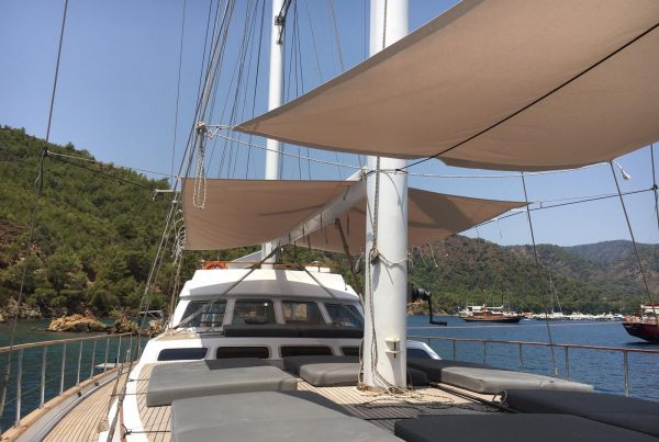 WhatsApp Image 2020-07-08 at 17.52.46 (1)