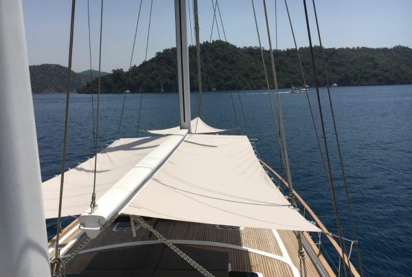 WhatsApp Image 2020-07-08 at 17.52.46