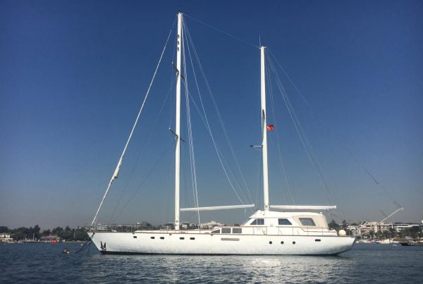 WhatsApp Image 2020-07-08 at 17.52.49