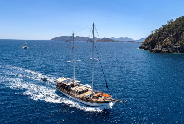 WhatsApp Image 2021-06-17 at 14.57.01