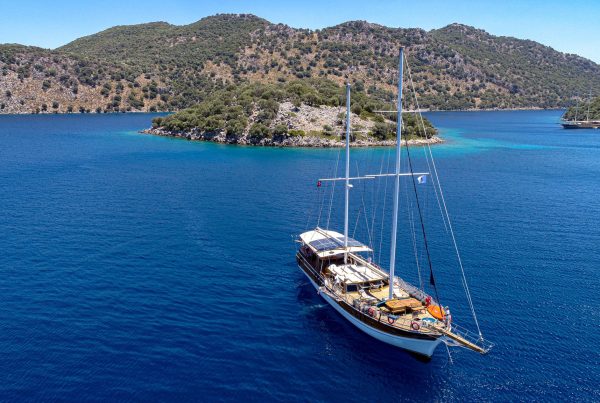 WhatsApp Image 2021-06-17 at 14.57.02