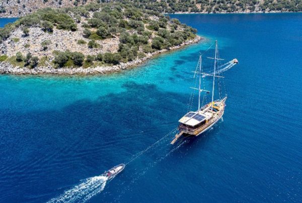 WhatsApp Image 2021-06-17 at 14.57.09