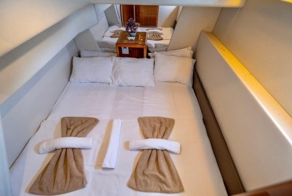 PHOTO-2023-04-11-11-18-22(3)