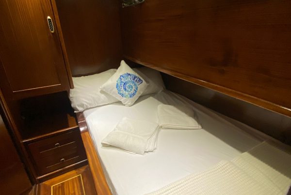 PHOTO-2023-05-17-21-14-54(15)