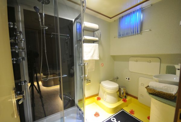 24 - Toilet & Shower